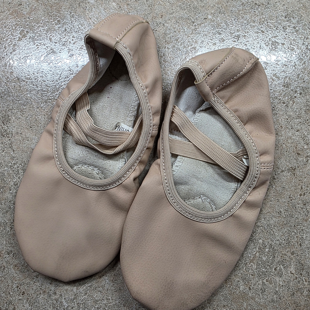 Ballet Shoes